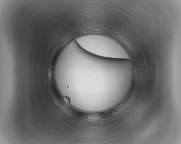 X0000112530214200908171151