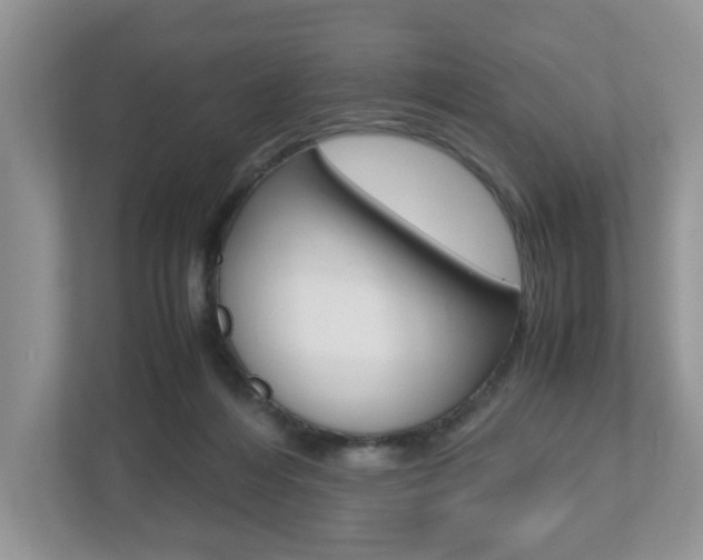 X0000112530216200908171151