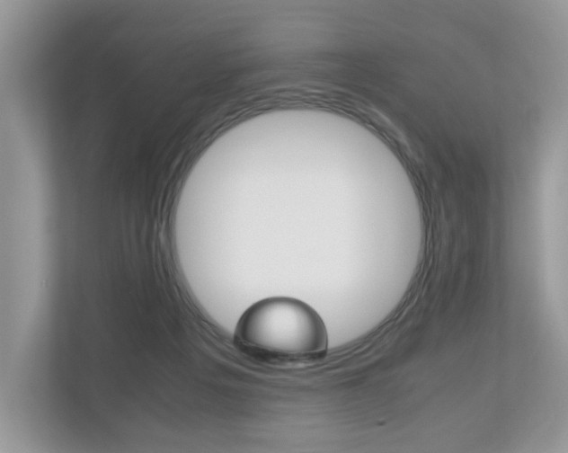 X0000112530217200908171151