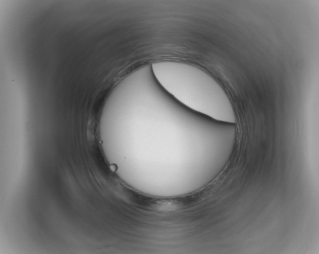 X0000112530218200908171151