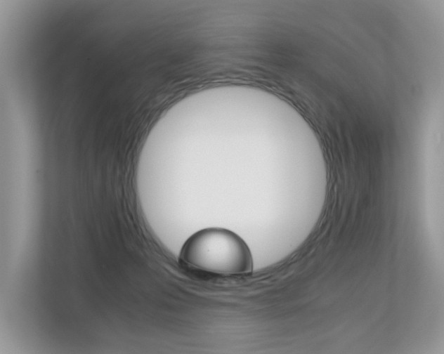 X0000112530223200908171151