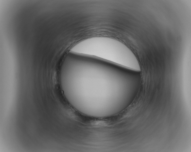X0000112530224200908171151