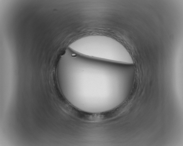 X0000112530225200908171151