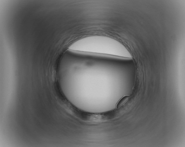 X0000112530227200908171151