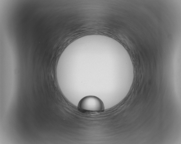 X0000112530229200908171151