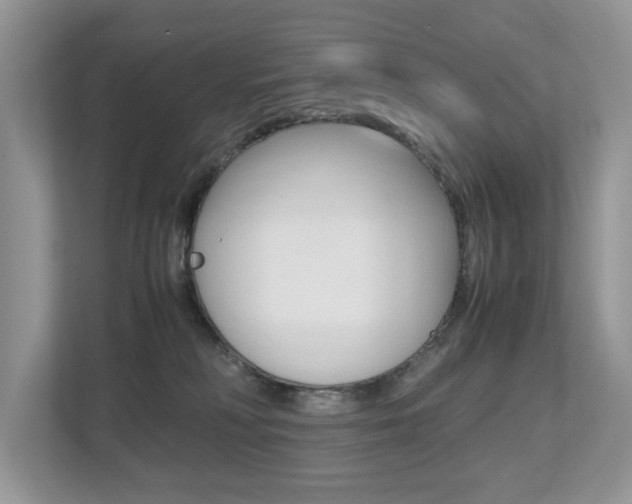 X0000112530230200908171151
