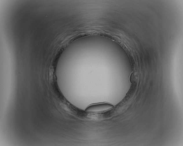 X0000112530231200908171151