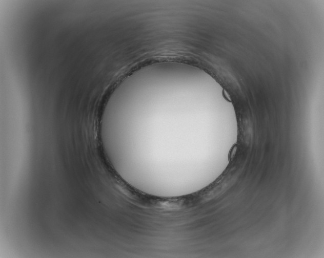 X0000112530232200908171151