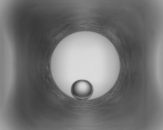 X0000112530233200908171151