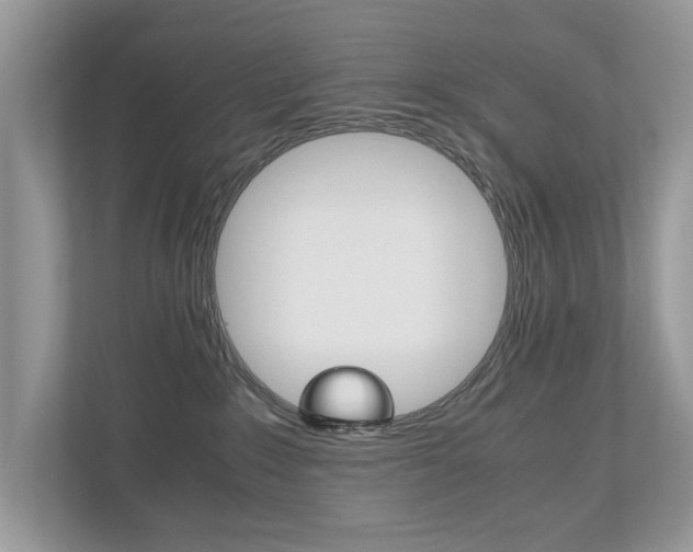 X0000112530235200908171151