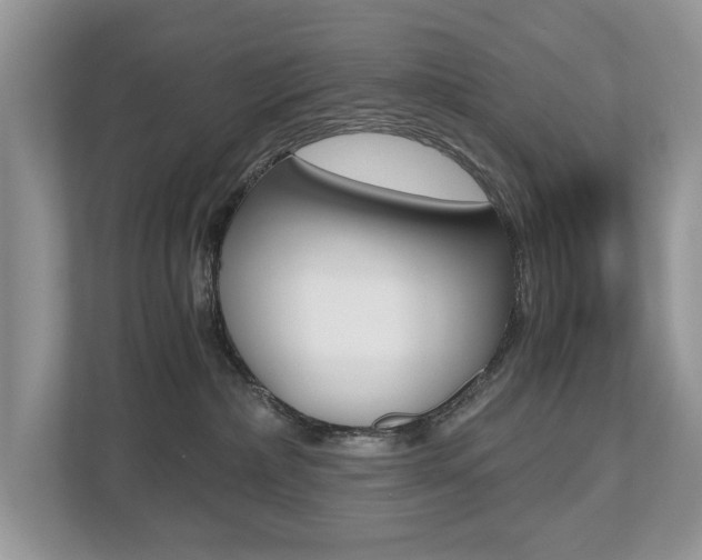 X0000112530236200908171151