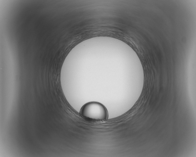 X0000112530237200908171151