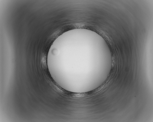X0000112530238200908171151