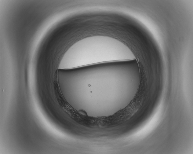 X0000112530239200908171151