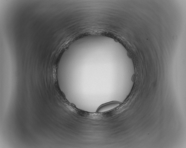 X0000112530240200908171151