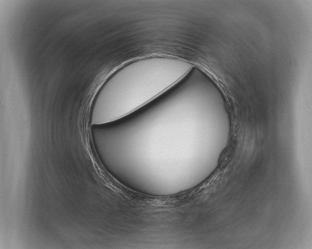 X0000112530241200908171150