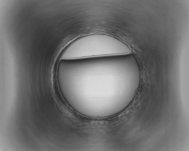 X0000112530242200908171150