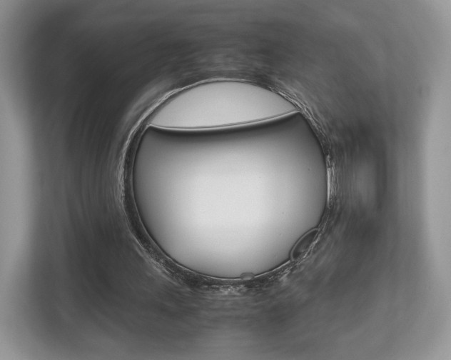 X0000112530243200908171150