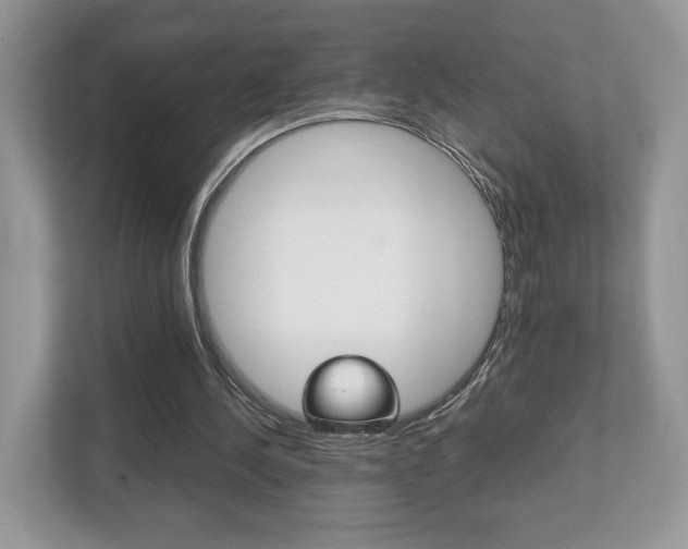 X0000112530244200908171150