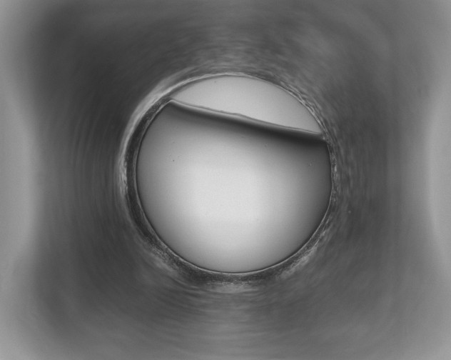 X0000112530246200908171150
