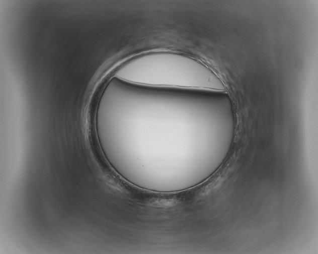 X0000112530247200908171150