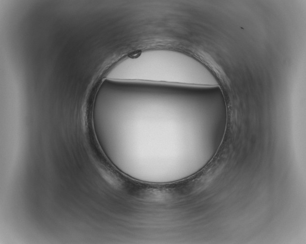 X0000112530250200908171150