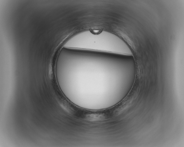 X0000112530251200908171150