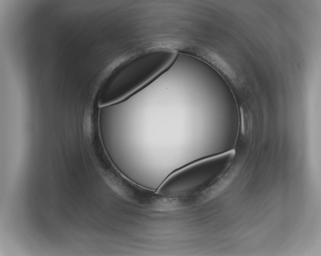 X0000112530252200908171151