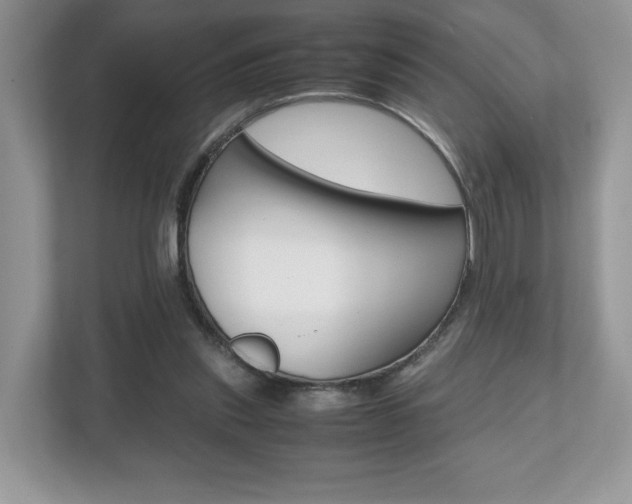 X0000112530253200908171151