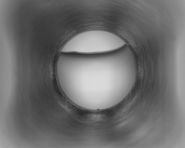 X0000112530255200908171151