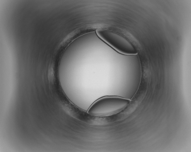 X0000112530256200908171151