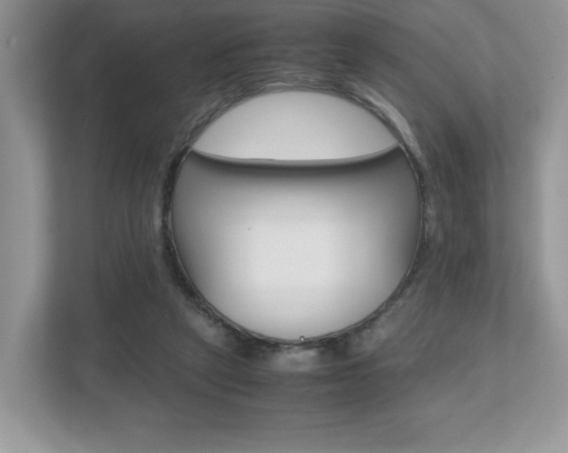 X0000112530257200908171151