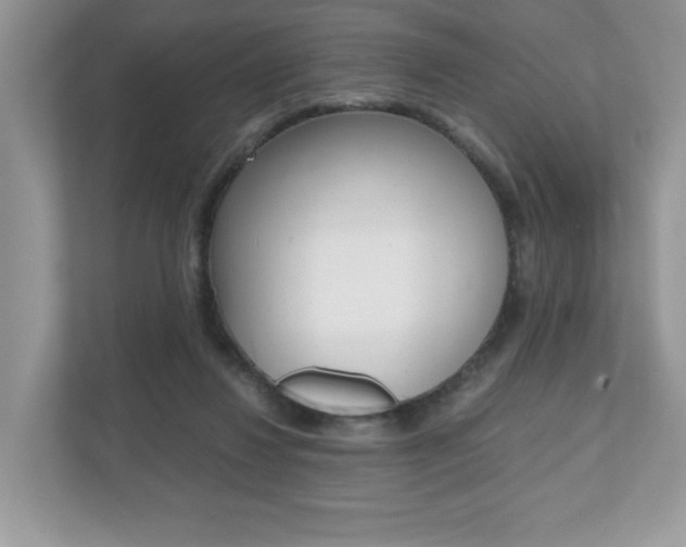 X0000112530260200908171151