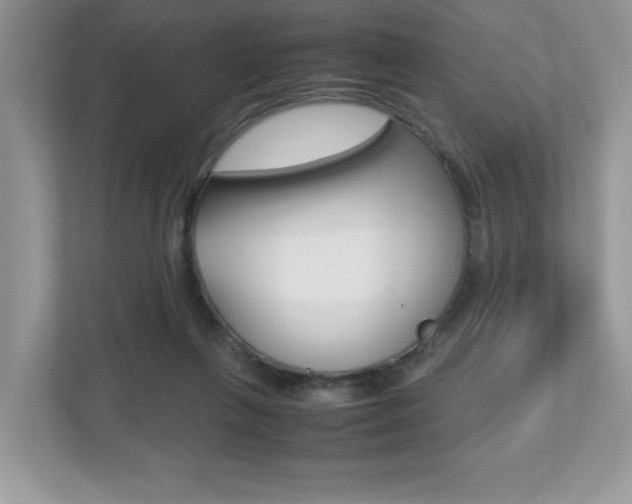 X0000112530263200908171151