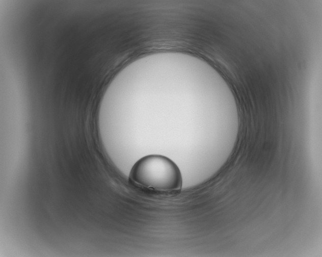 X0000112530264200908171151