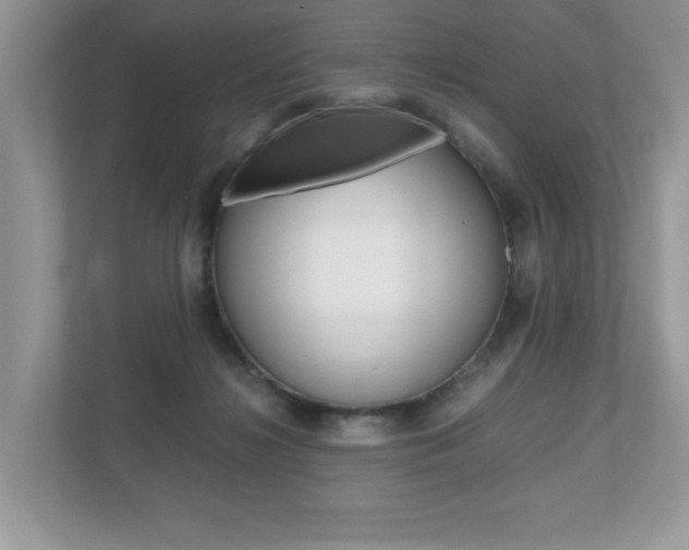 X0000112530268200908171151