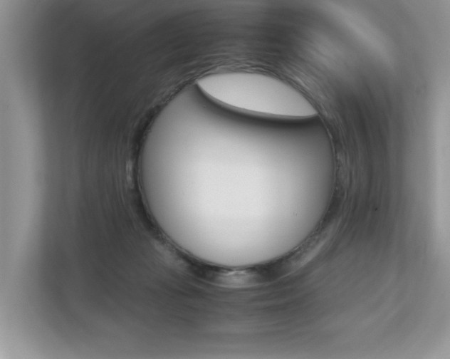 X0000112530269200908171151