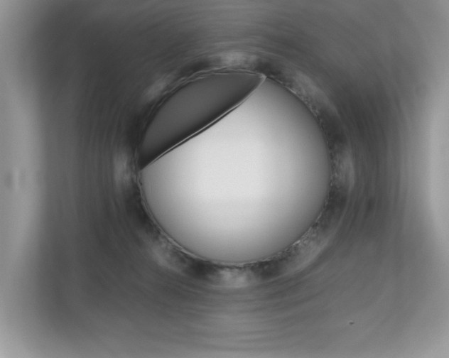 X0000112530272200908171151