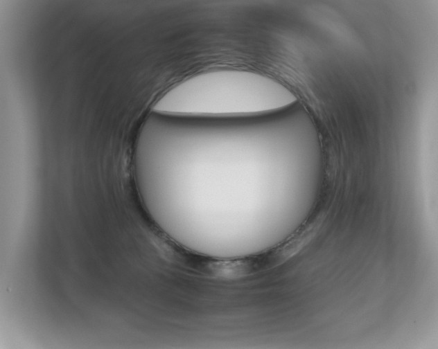 X0000112530273200908171151