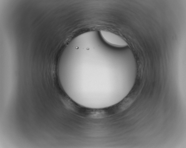 X0000112530274200908171151