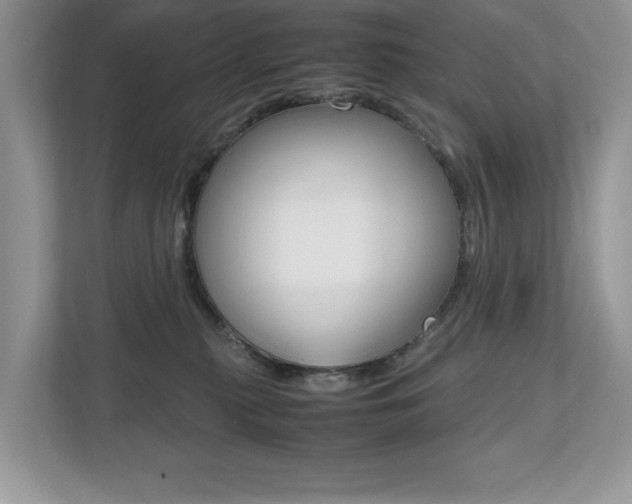 X0000112530279200908171151