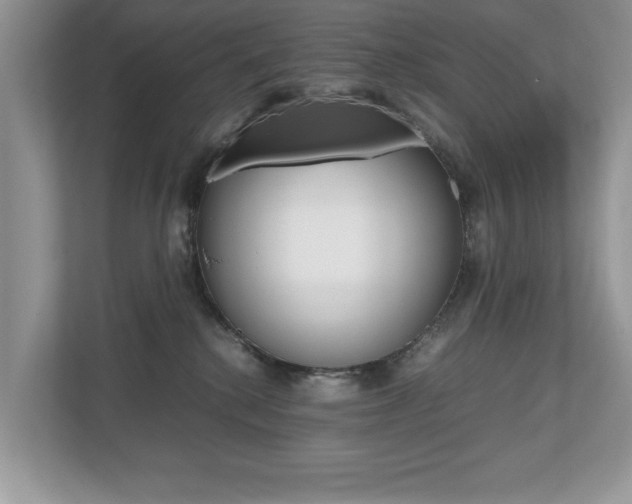 X0000112530280200908171151