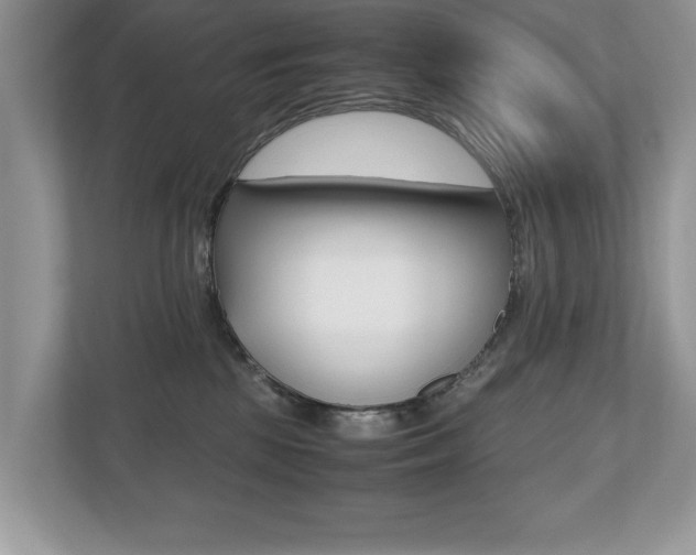 X0000112530281200908171151