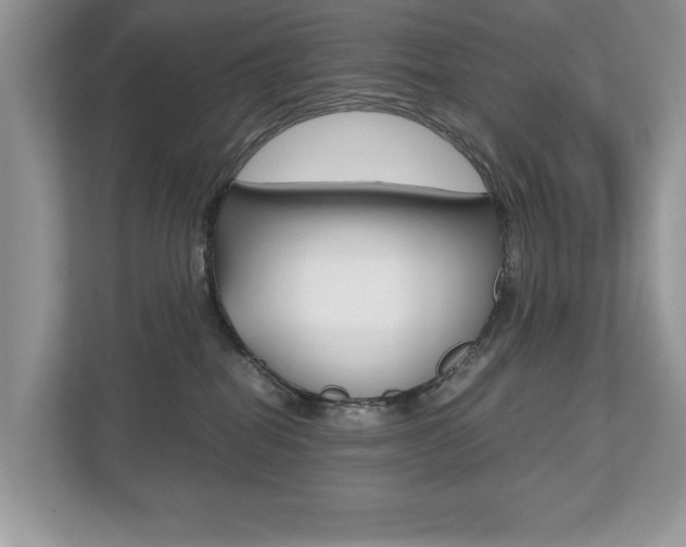 X0000112530282200908171151