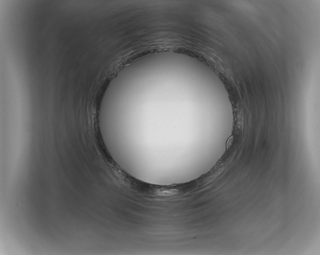 X0000112530283200908171151