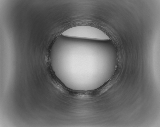 X0000112530284200908171151