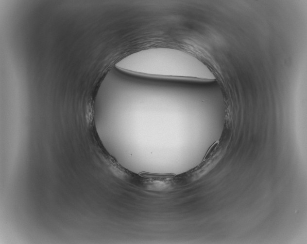 X0000112530285200908171151