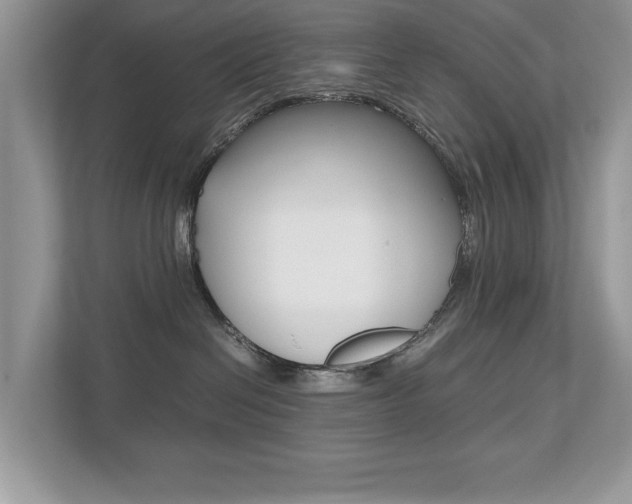 X0000112530286200908171151