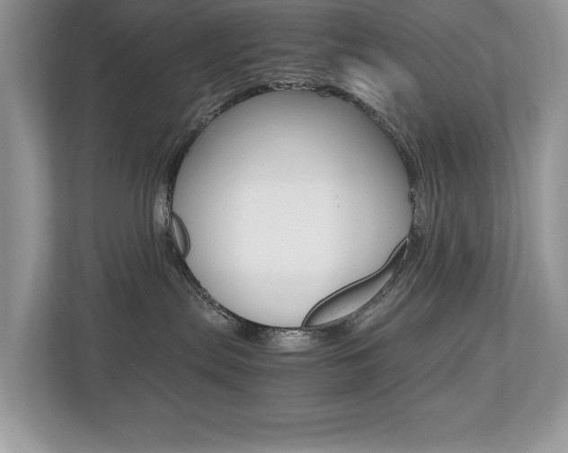 X0000112530287200908171151