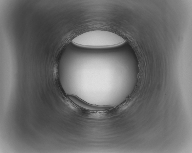 X0000112530288200908171151